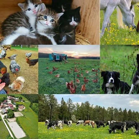 Vakantieboerderij Ferienwohnung Landluft Bitz